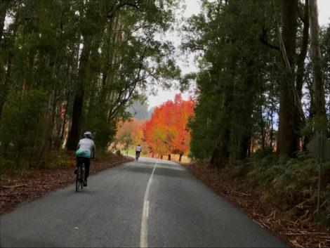 Oh! Cycling in glorious Autumn
